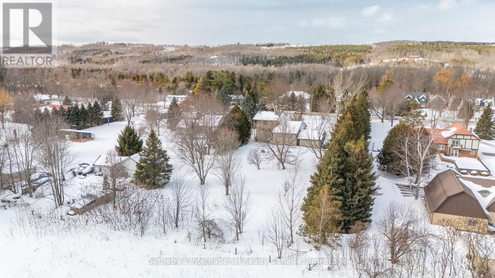 79 Caroline Street W, Clearview, Ontario  L0M 1G0 - Photo 4 - S12837852