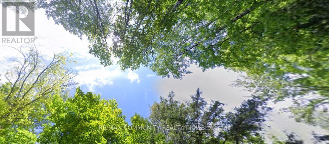 12 Con 22 Cardiff Concession, Highlands East, Ontario  K0L 3C0 - Photo 7 - X12921818