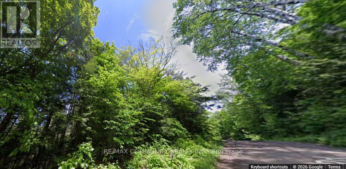 12 Con 22 Cardiff Concession, Highlands East, Ontario  K0L 3C0 - Photo 10 - X12921818