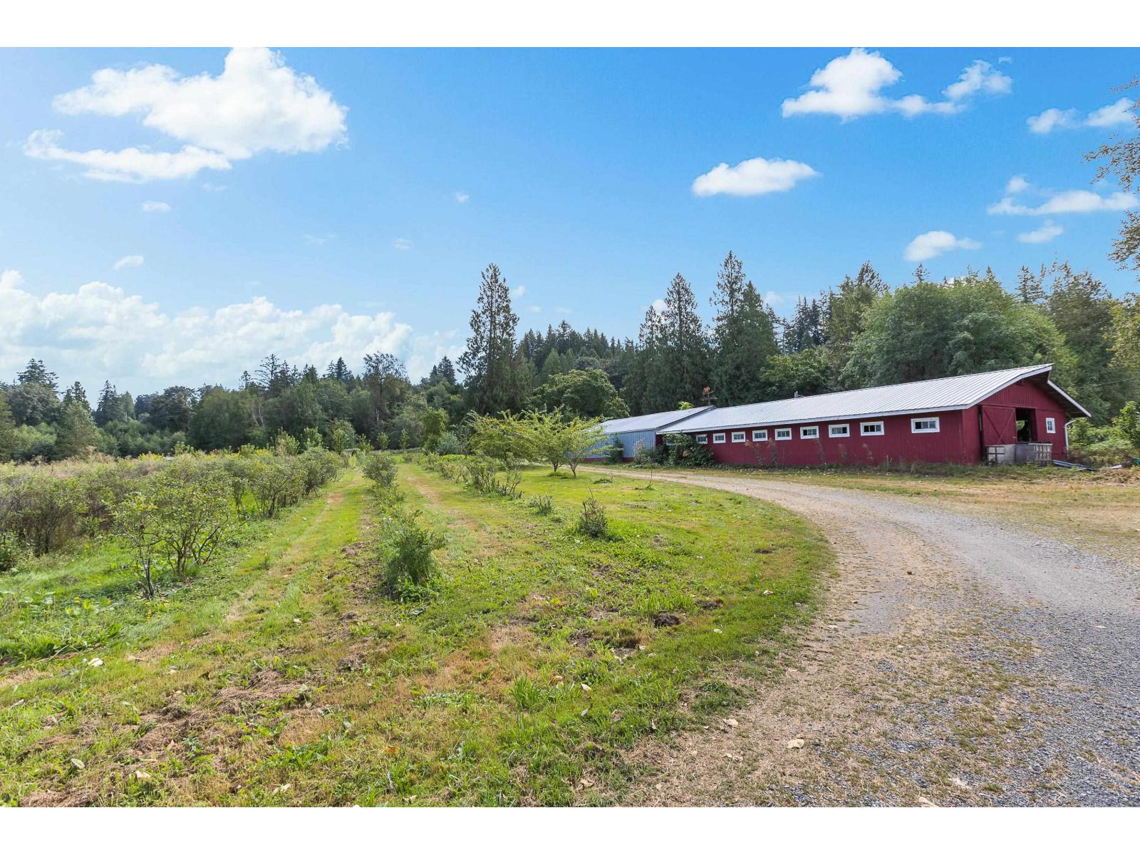 24250 88 Avenue, Langley, British Columbia  V1M 3R3 - Photo 38 - R3103712