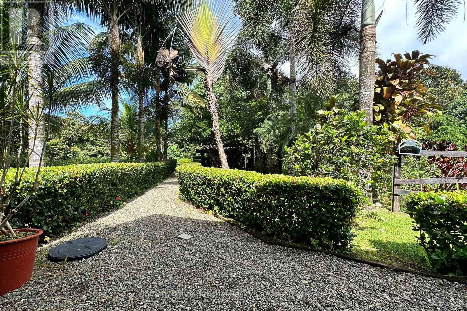 60504 Finca Maranon, Costa Rica, Ontario   - Photo 21 - X12921988