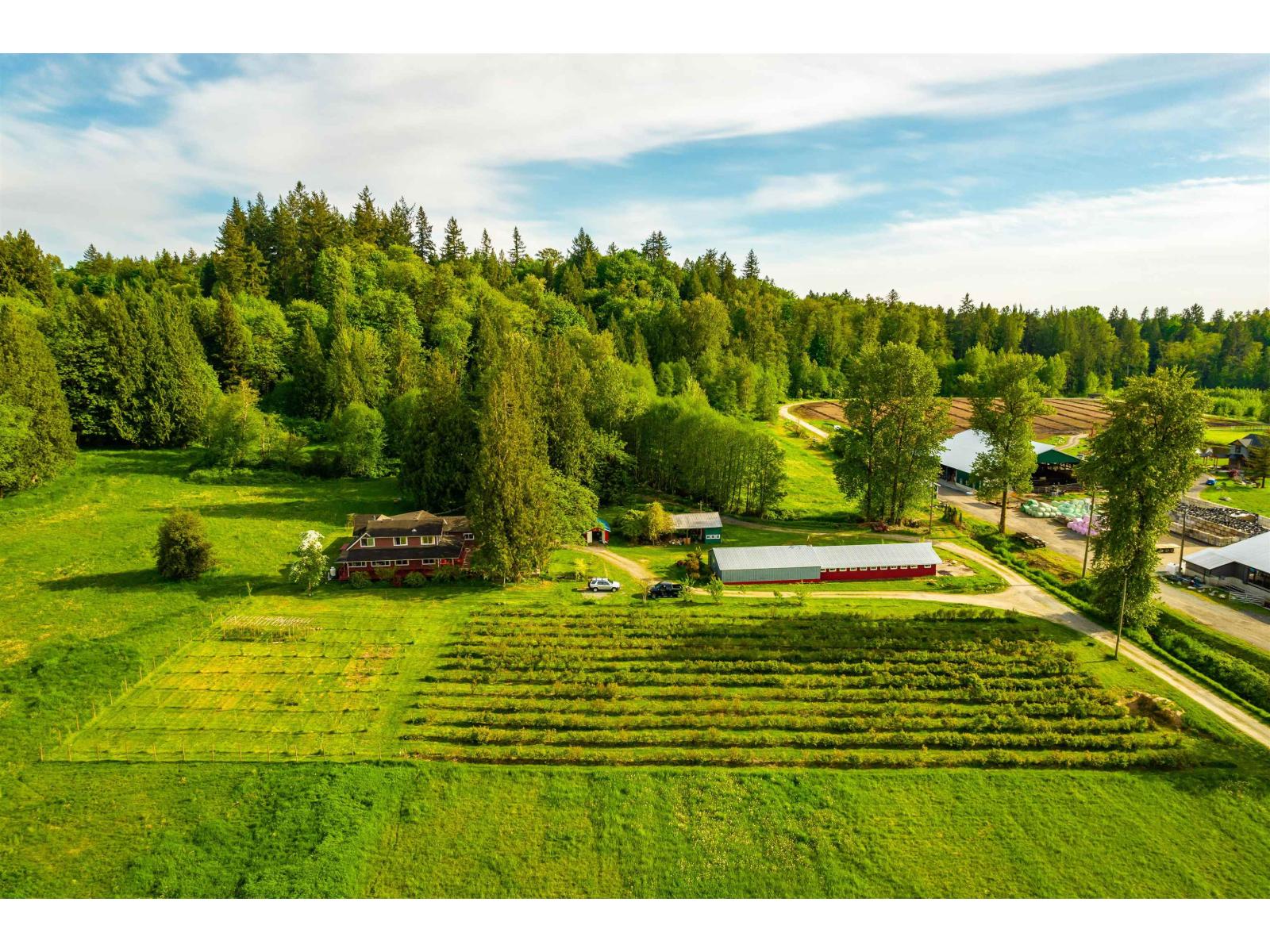 24250 88 Avenue, Langley, British Columbia  V1M 3R3 - Photo 24 - R3103712