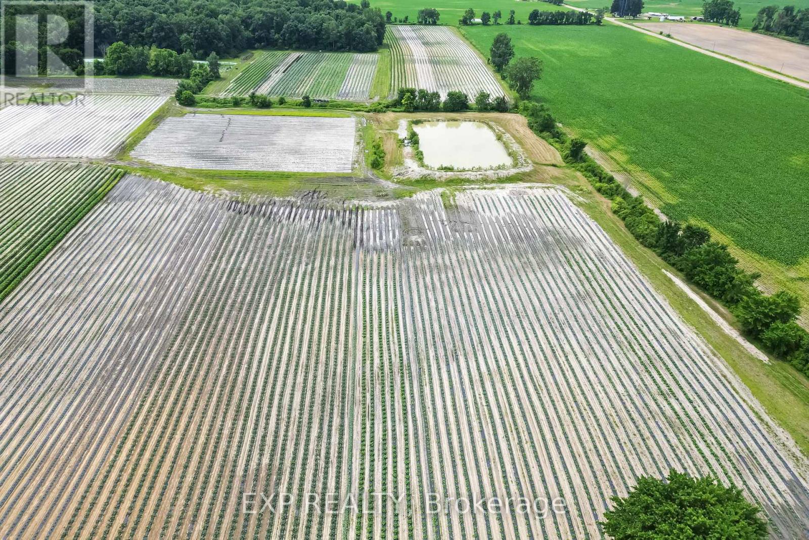 11 Tucker Street, Newbury, Ontario  N0L 1Z0 - Photo 3 - X12921974