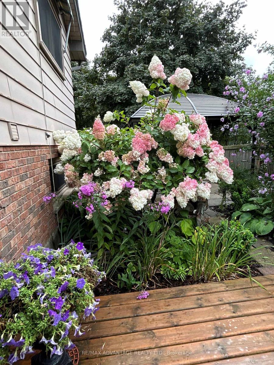 96 Rollscourt Place, London North, Ontario  N6G 1M2 - Photo 37 - X12922020