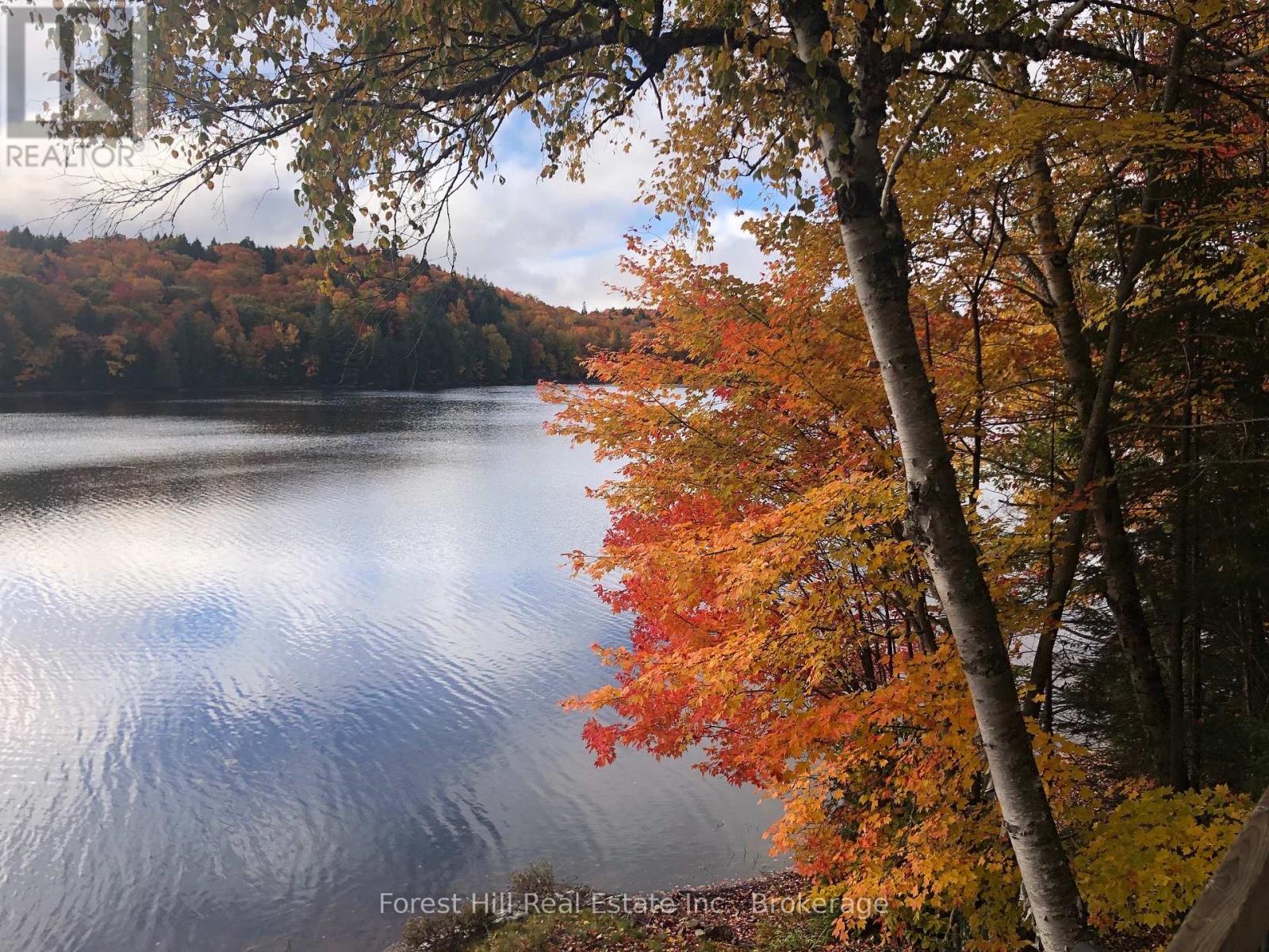 1187 Ivy Lane, Algonquin Highlands, Ontario  P0A 1E0 - Photo 9 - X12922028