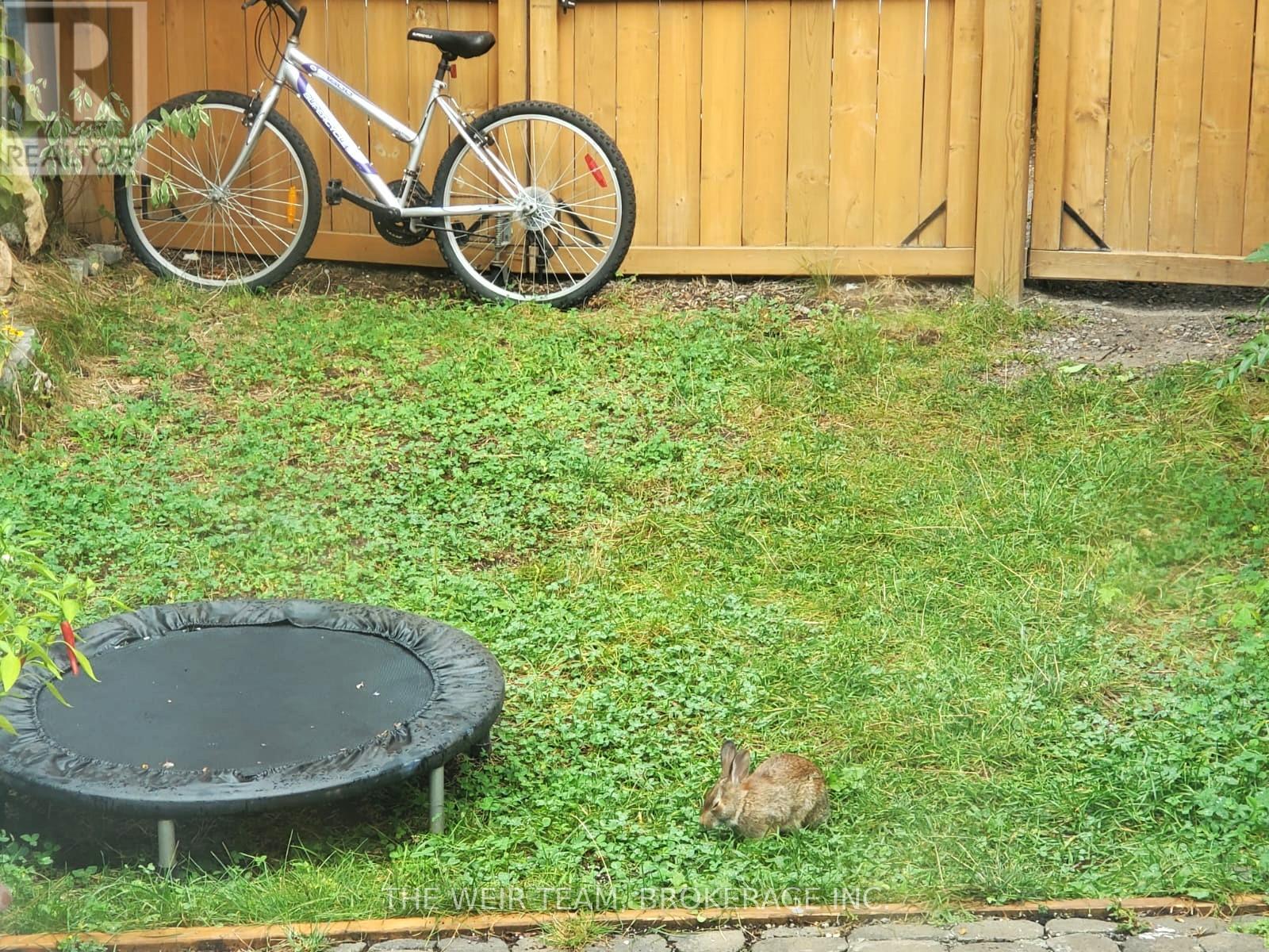 793 Woodbine Avenue, Toronto, Ontario  M4E 2J5 - Photo 24 - E12922022