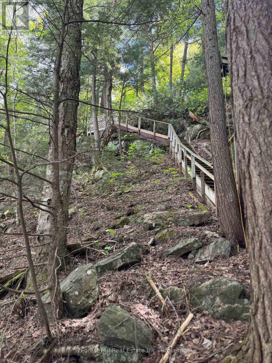 1168 Inspiration Drive, Algonquin Highlands (Mcclintock), Ontario  P0A 1E0 - Photo 14 - X12922062