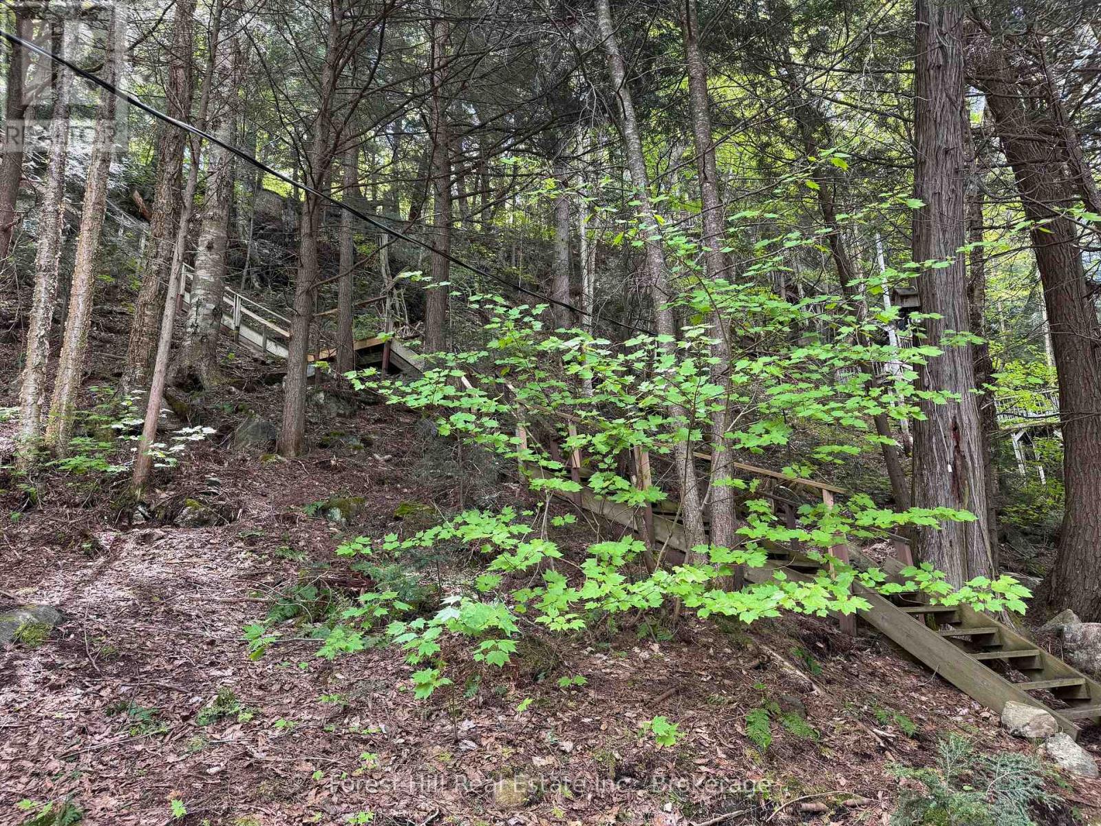 1168 Inspiration Drive, Algonquin Highlands (Mcclintock), Ontario  P0A 1E0 - Photo 17 - X12922062