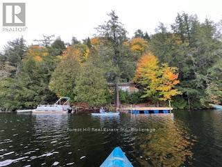 1168 Inspiration Drive, Algonquin Highlands (Mcclintock), Ontario  P0A 1E0 - Photo 2 - X12922062