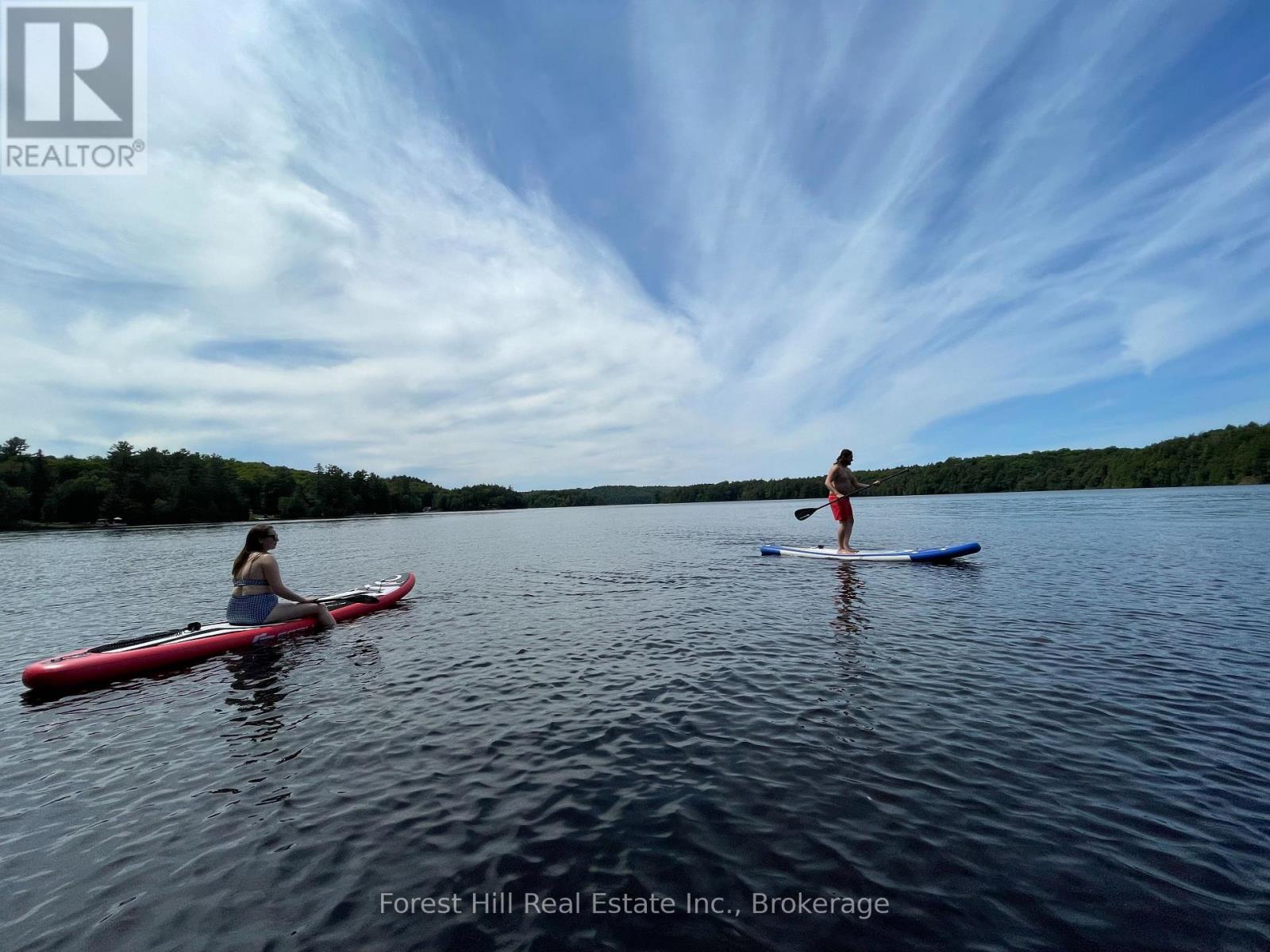 1168 Inspiration Drive, Algonquin Highlands (Mcclintock), Ontario  P0A 1E0 - Photo 28 - X12922062