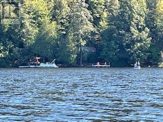 1168 Inspiration Drive, Algonquin Highlands (Mcclintock), Ontario  P0A 1E0 - Photo 6 - X12922062