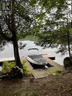 1168 Inspiration Drive, Algonquin Highlands (Mcclintock), Ontario  P0A 1E0 - Photo 8 - X12922062