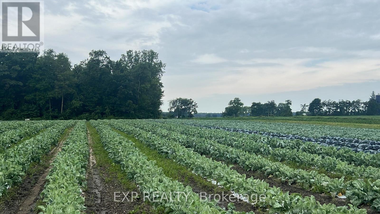 11 TUCKER STREET, Southwest Middlesex, Ontario