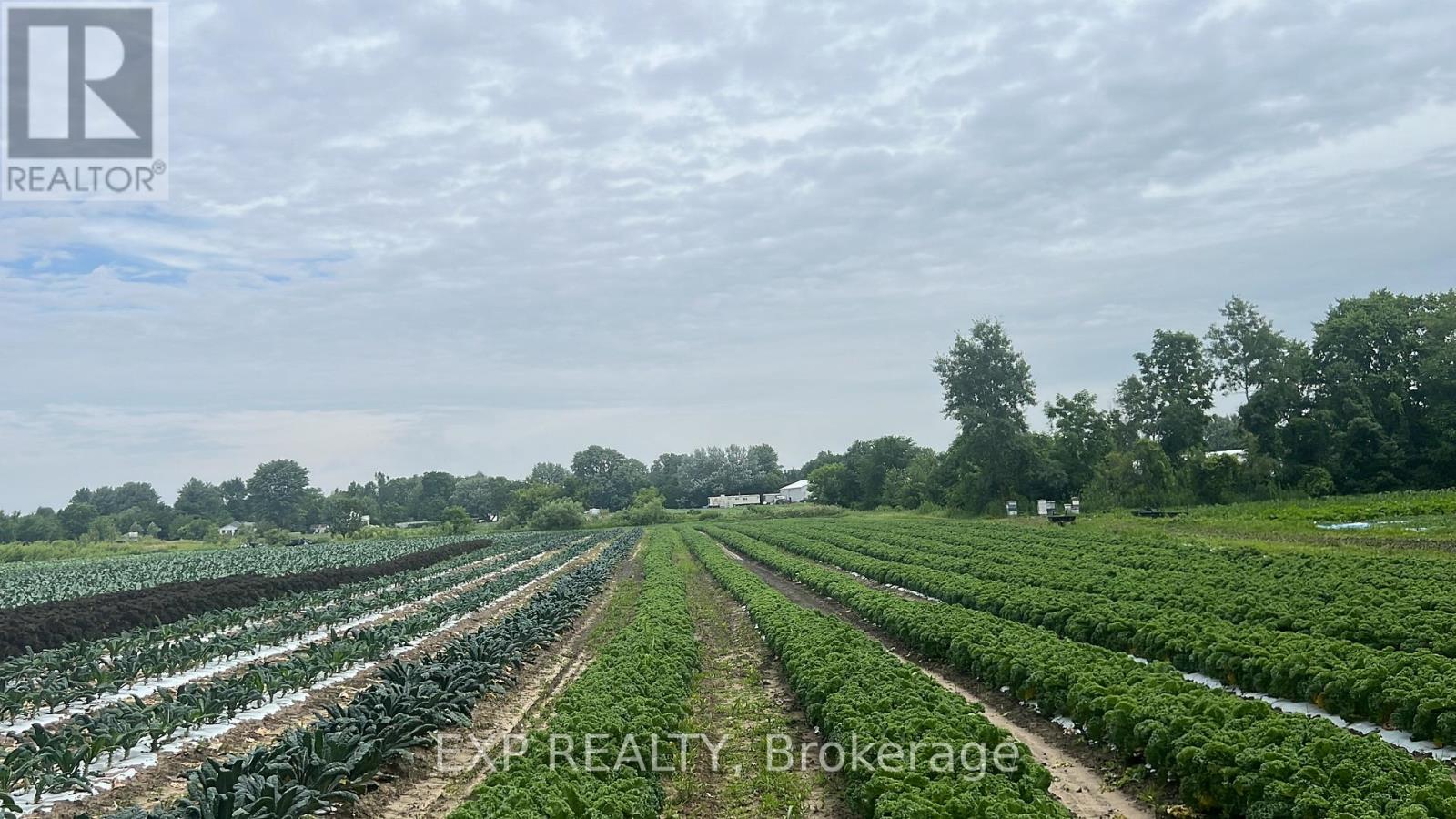 11 Tucker Street, Southwest Middlesex, Ontario  N0L 1Z0 - Photo 2 - X12922050