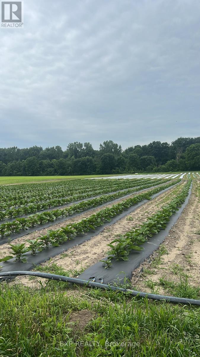 11 Tucker Street, Southwest Middlesex, Ontario  N0L 1Z0 - Photo 3 - X12922050