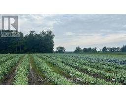 11 TUCKER STREET, Southwest Middlesex, Ontario