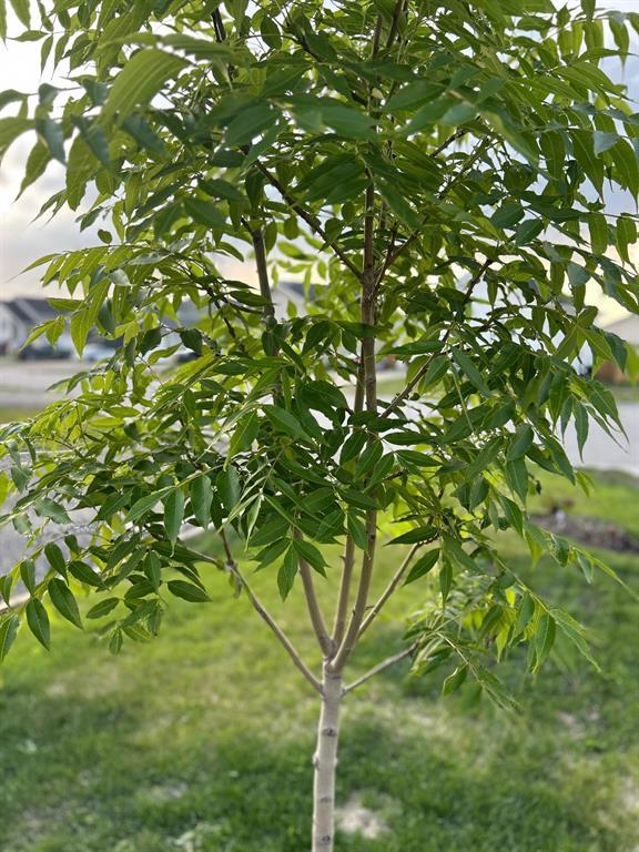 85 York Crescent, Steinbach, Manitoba  R5G 2V4 - Photo 48 - 202605514