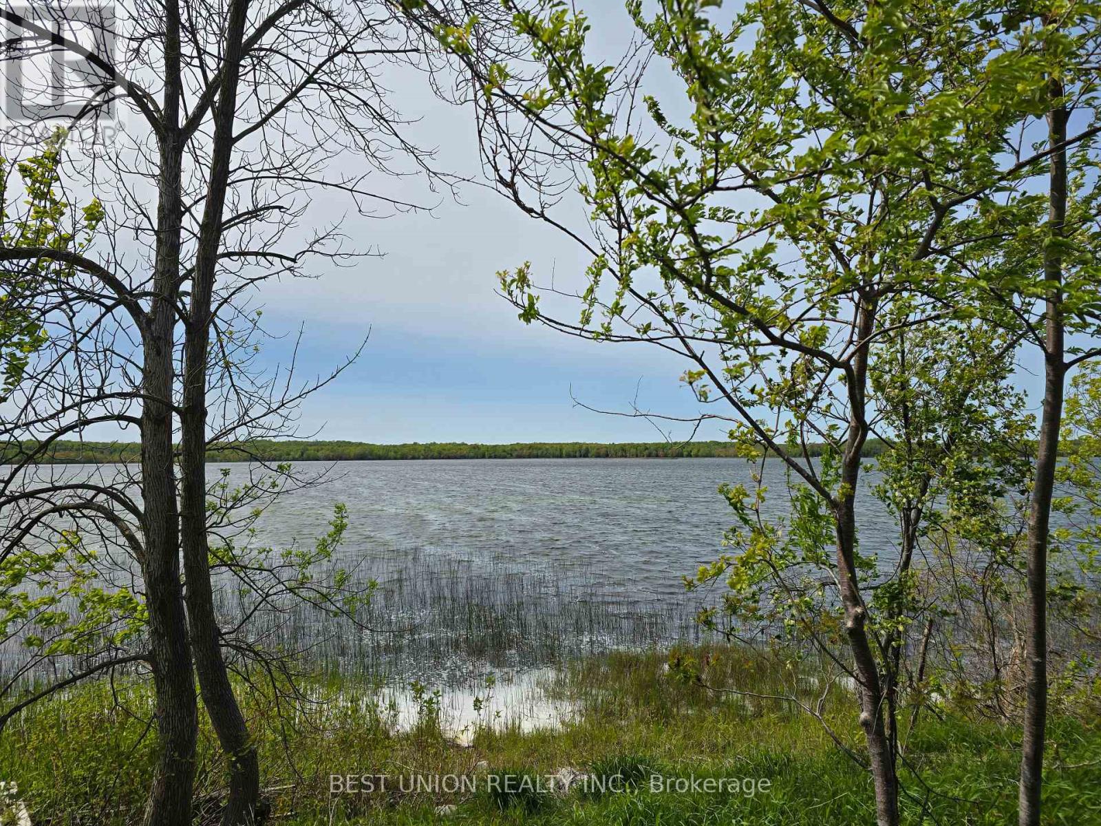 Lot1 Red Bay Road, South Bruce Peninsula, Ontario  N0H 2T0 - Photo 15 - X12922130