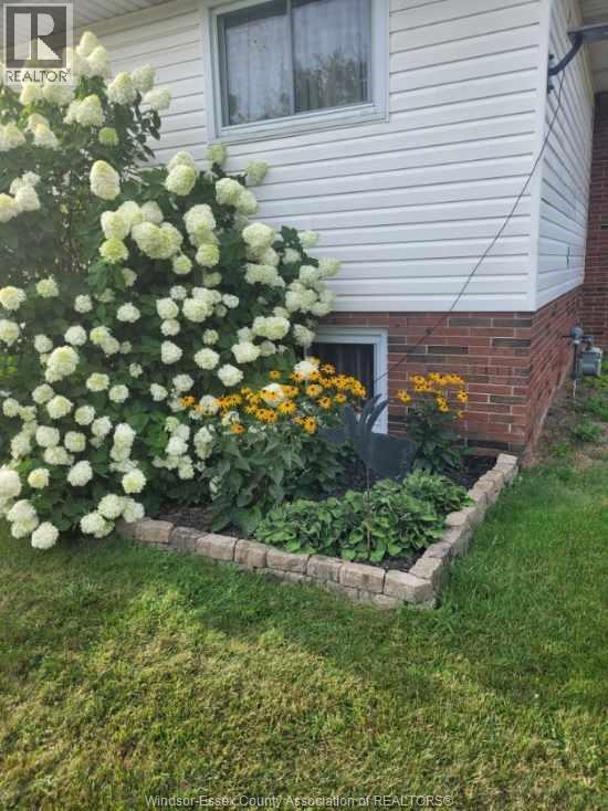 263 Road 11, Kingsville, Ontario  N0R 1V0 - Photo 37 - 26001161