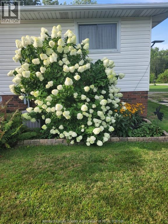 263 Road 11, Kingsville, Ontario  N0R 1V0 - Photo 41 - 26001161