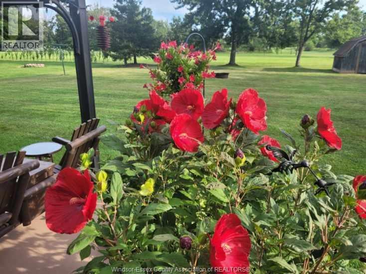 263 Road 11, Kingsville, Ontario  N0R 1V0 - Photo 39 - 26001161