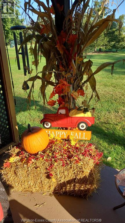 263 Road 11, Kingsville, Ontario  N0R 1V0 - Photo 43 - 26001161