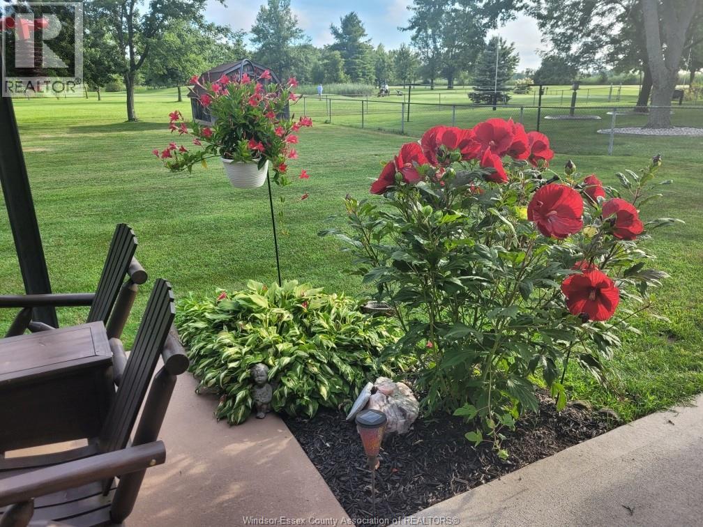 263 Road 11, Kingsville, Ontario  N0R 1V0 - Photo 38 - 26001161