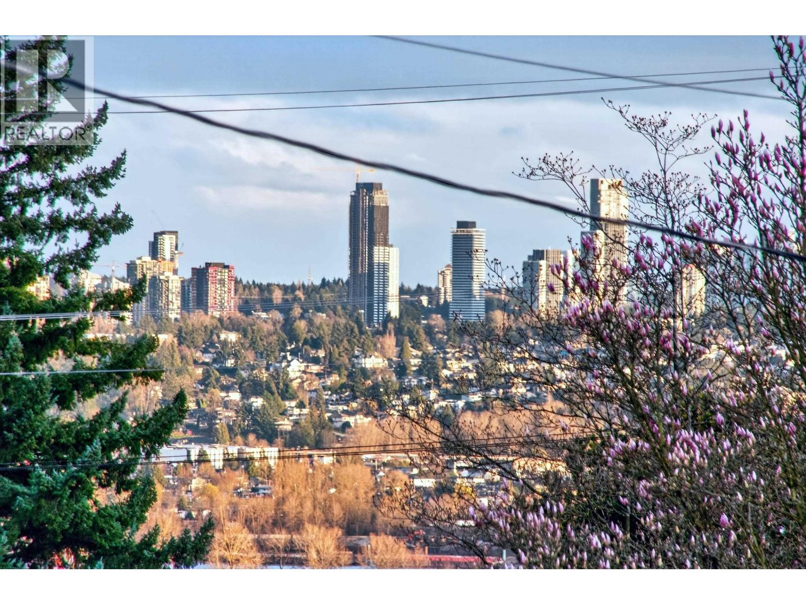 824 Chestnut Street, New Westminster, British Columbia  V3L 4N2 - Photo 25 - R3103018