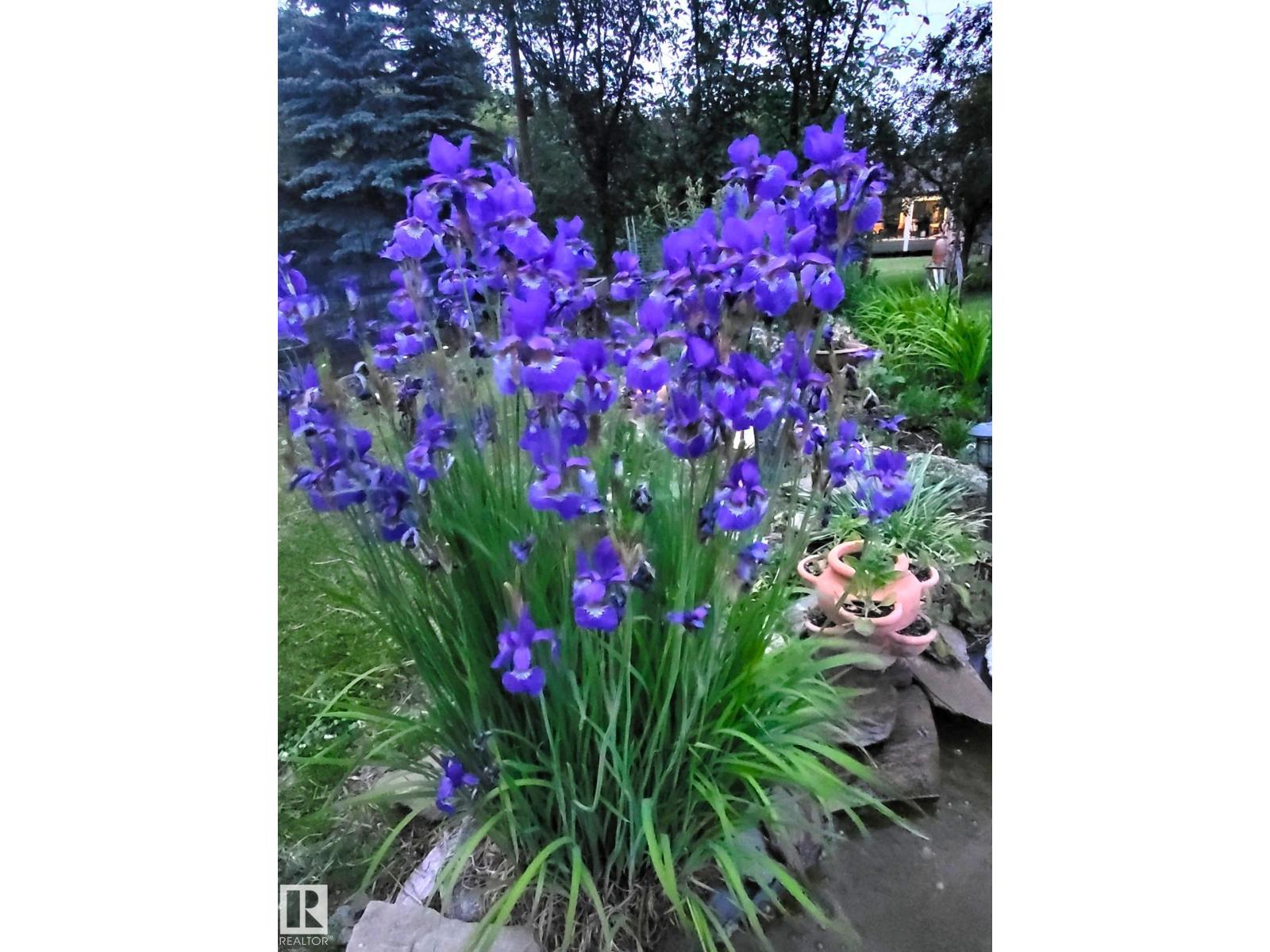 4911 46 St, Evansburg, Alberta  T0E 0T0 - Photo 52 - E4462994