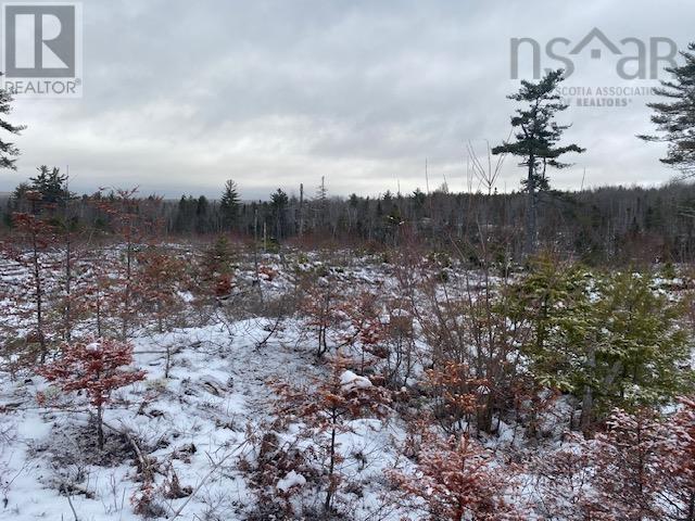 Lot 1 Newburne Road, Newburne, Nova Scotia  B0A 2E0 - Photo 2 - 202601776