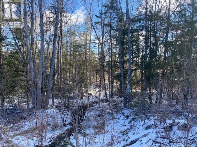 Pid: 60446457 Newburne Road, Newburne, Nova Scotia  B0A 2E0 - Photo 1 - 202601942