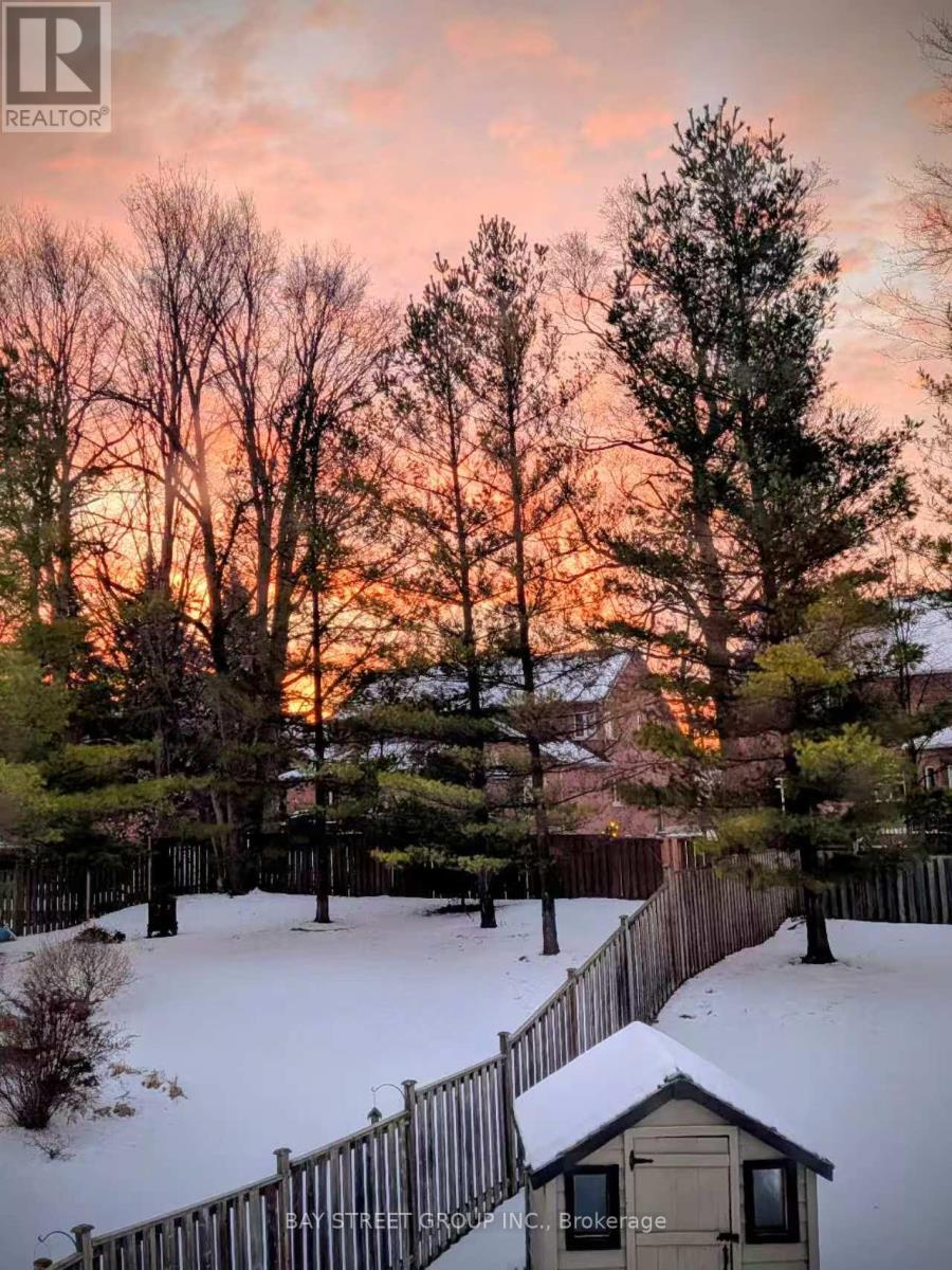 1011 Nellie Little Crescent, Newmarket, Ontario  L3X 3E6 - Photo 3 - N12922288