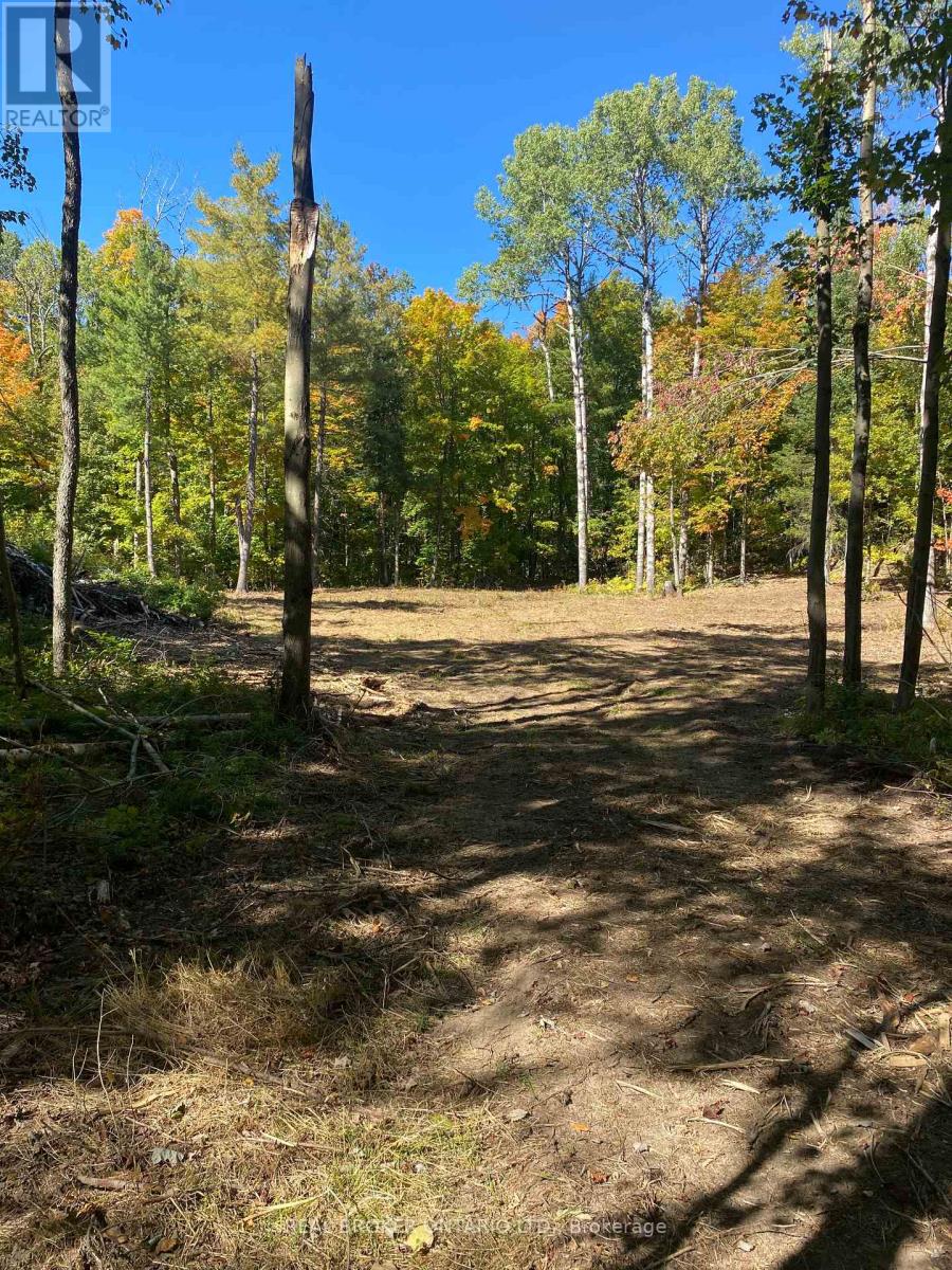 1248 Beiers Road, Gravenhurst, Ontario  P0E 1G0 - Photo 4 - X12442164