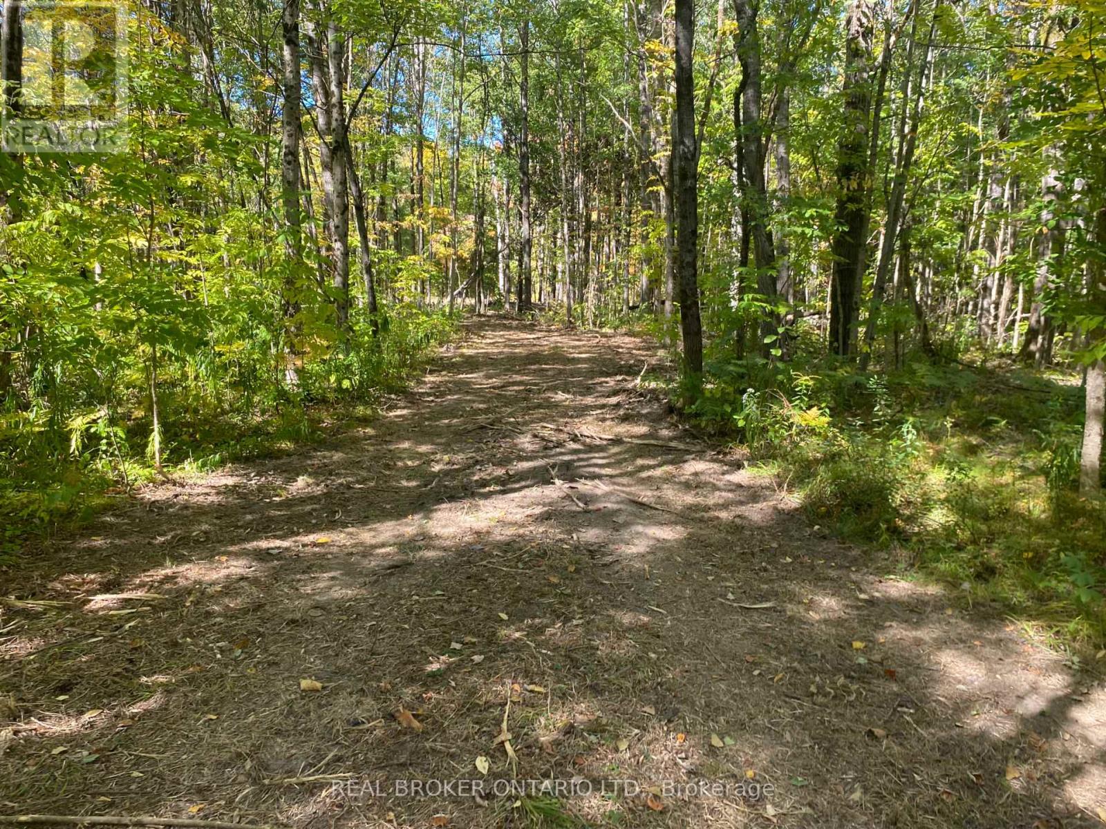 1248 Beiers Road, Gravenhurst, Ontario  P0E 1G0 - Photo 6 - X12442164