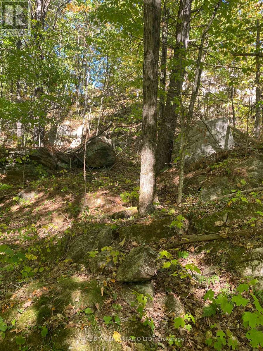 1248 Beiers Road, Gravenhurst, Ontario  P0E 1G0 - Photo 9 - X12442164