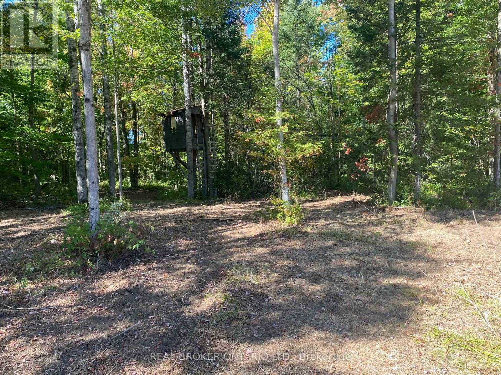 1248 Beiers Road, Gravenhurst, Ontario  P0E 1G0 - Photo 5 - X12442164