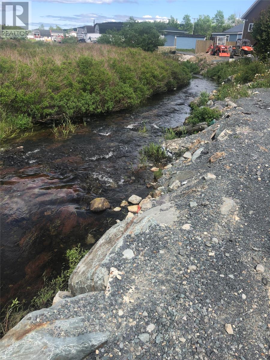 388 Shearstown Road, Bay Roberts, Newfoundland & Labrador  A0A 3V0 - Photo 15 - 1295553