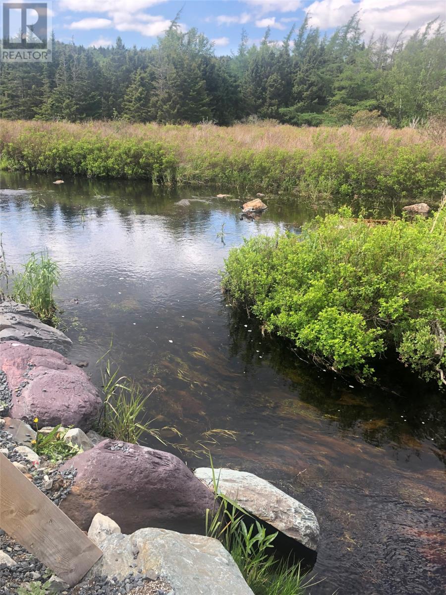 388 Shearstown Road, Bay Roberts, Newfoundland & Labrador  A0A 3V0 - Photo 16 - 1295553