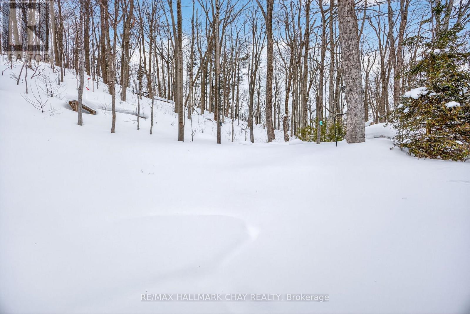 17 Pine Ridge Trail, Oro-Medonte (Horseshoe Valley), Ontario  L4M 4Y8 - Photo 46 - S12922430