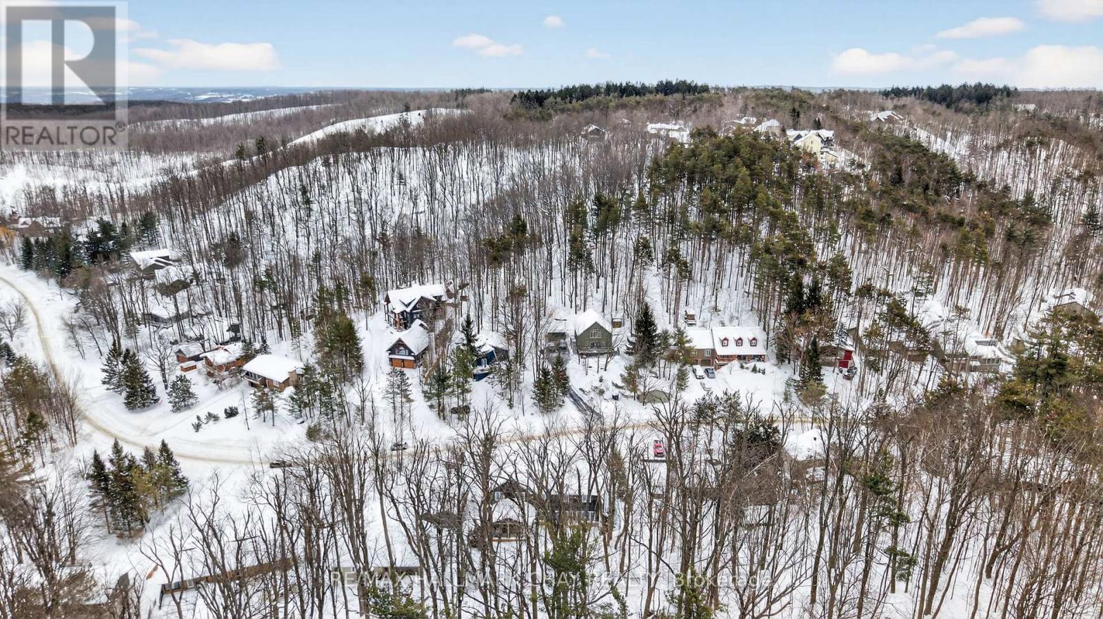 17 Pine Ridge Trail, Oro-Medonte (Horseshoe Valley), Ontario  L4M 4Y8 - Photo 49 - S12922430