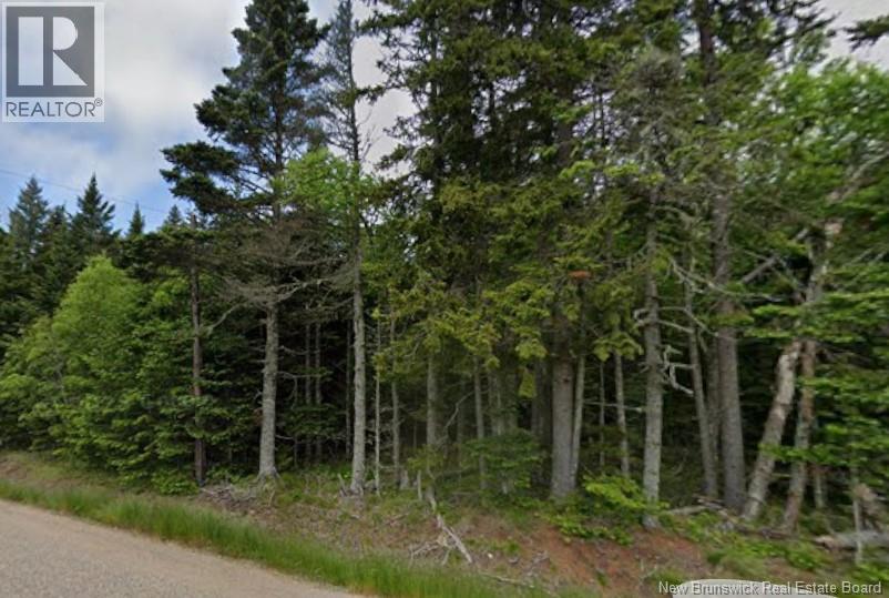 Lot Main Street, Pennfield, New Brunswick  E5H 1N6 - Photo 1 - NB135847