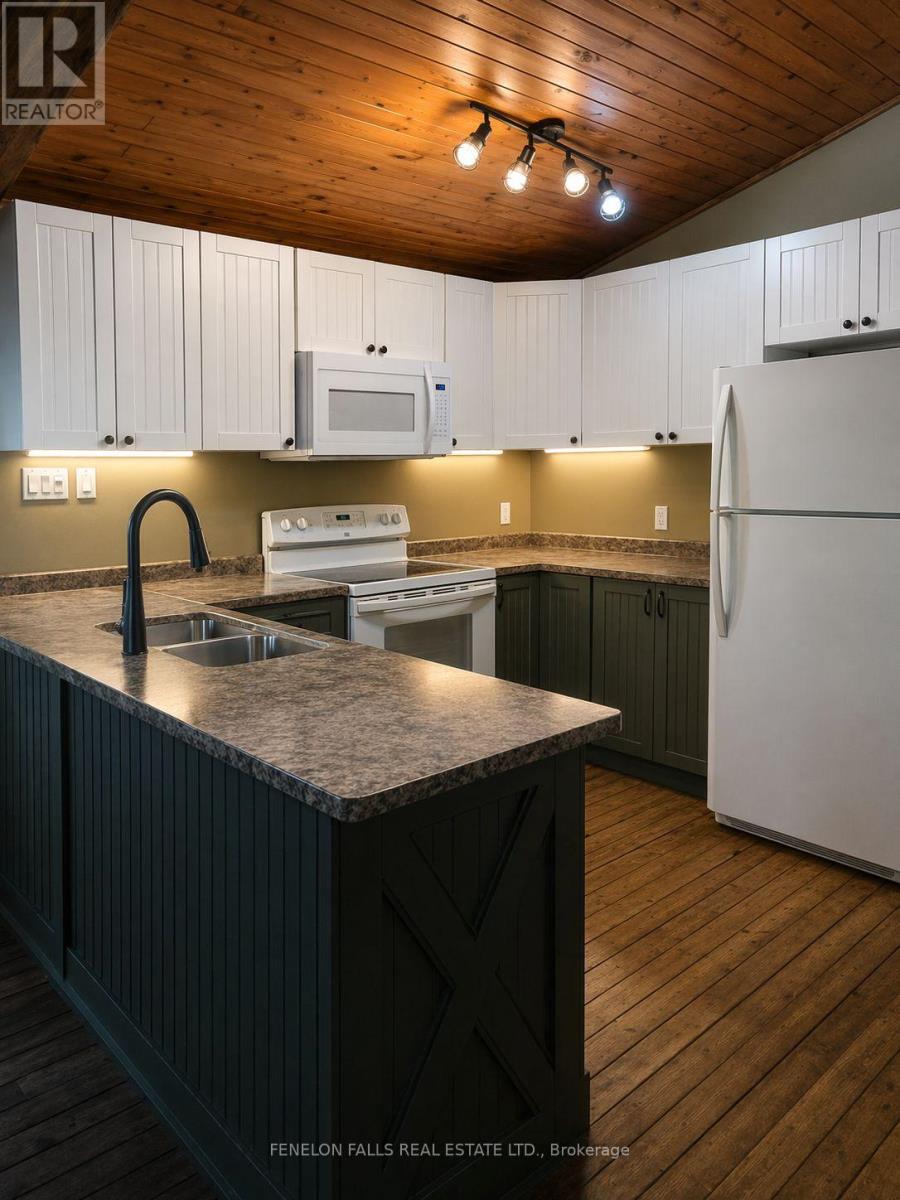 117 Echo Bay Road, Kawartha Lakes, Ontario  K0M 1A0 - Photo 10 - X12852986