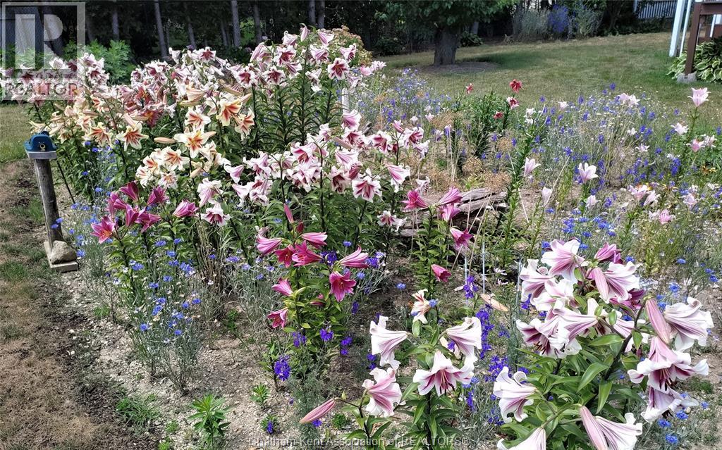 17 Nichols Drive, Blenheim, Ontario  N0P 1A0 - Photo 46 - 26006176