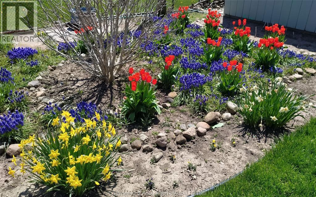 17 Nichols Drive, Blenheim, Ontario  N0P 1A0 - Photo 47 - 26006176