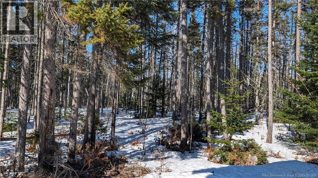 7 Nb-303, Dugas, New Brunswick  E8N 1M4 - Photo 14 - NB135820