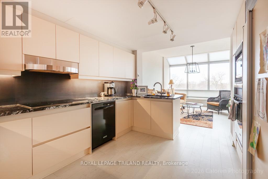 507 - 250 Sydenham Street, London East, Ontario  N6A 5S1 - Photo 11 - X12922452