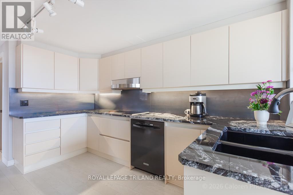 507 - 250 Sydenham Street, London East, Ontario  N6A 5S1 - Photo 12 - X12922452