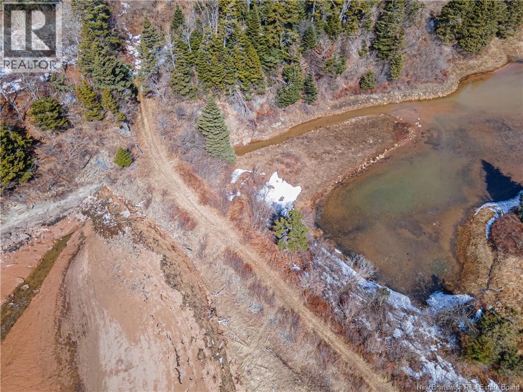 1195 Route 915, New Horton, New Brunswick  E4H 1W4 - Photo 46 - NB135628