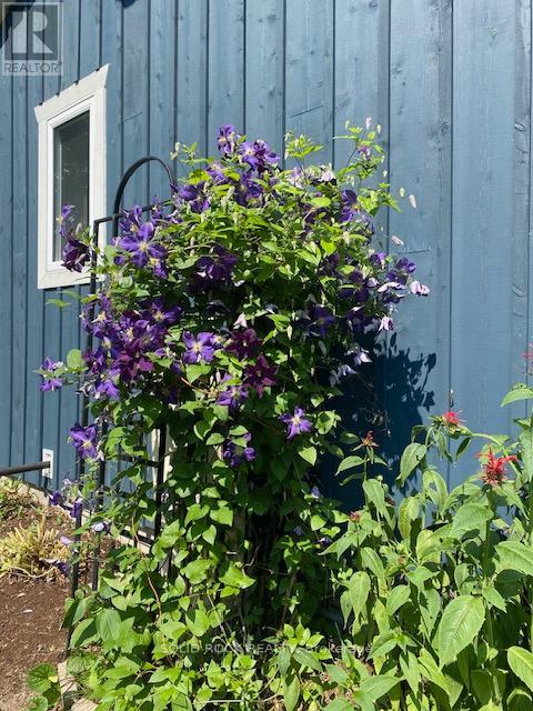 49 Cooke Armstrong Road, Quinte West, Ontario  K0K 2C0 - Photo 47 - X12817910