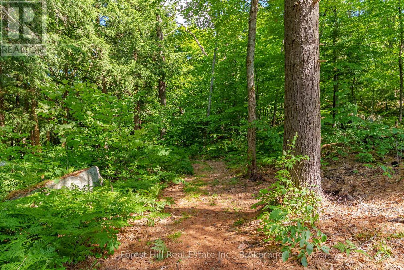 1 Sl 19 Roberts Island, Muskoka Lakes (Cardwell), Ontario  P0B 1M0 - Photo 30 - X12922658